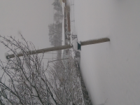 wp_20151121_001.jpg
